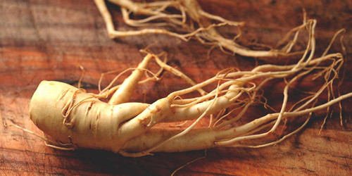 Ultrasonic Ginsenosides Extraction